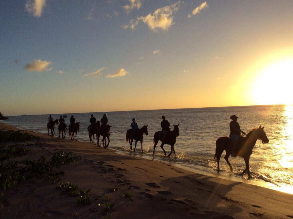 Horse Riding Sotogrande